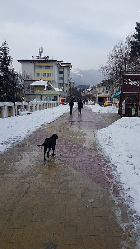 Натиснете снимката за да я уголемите

Име:27.jpg
Прегледи:355
Размер:442.6 КБ
ID:6816705