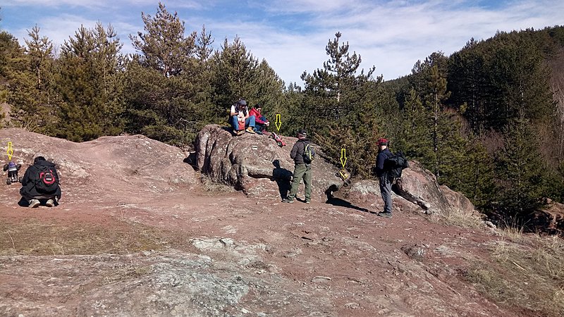 Натиснете снимката за да я уголемите  Име:IMG_20220219_134350.jpg Прегледи:0 Размер:759.7 КБ ID:6819584