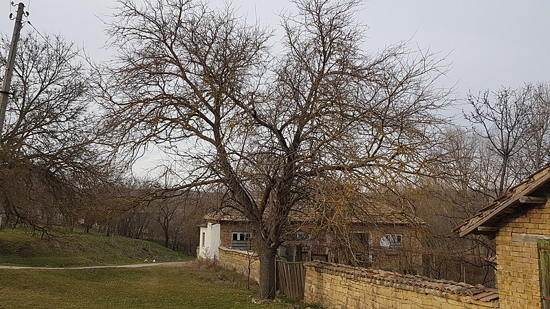 Натиснете снимката за да я уголемите

Име:36.jpg
Прегледи:1209
Размер:930.8 КБ
ID:6819660