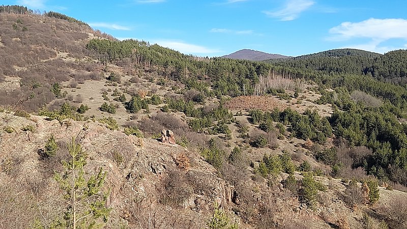 Натиснете снимката за да я уголемите

Име:20220219_151857.jpg
Прегледи:381
Размер:686.9 КБ
ID:6819763