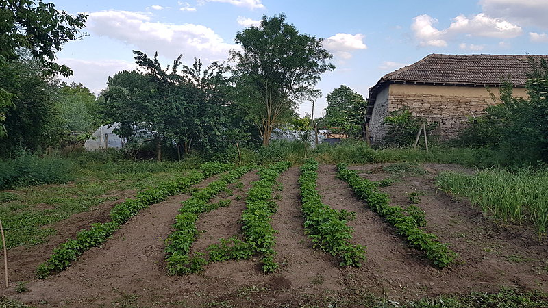 Натиснете снимката за да я уголемите

Име:3.jpg
Прегледи:561
Размер:711.4 КБ
ID:6819878