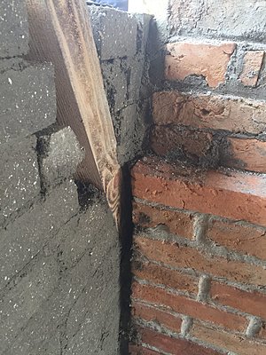 Натиснете снимката за да я уголемите

Име:IMG_3491.jpg
Прегледи:526
Размер:642.1 КБ
ID:6830049