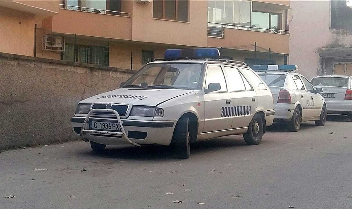 Натиснете снимката за да я уголемите  Име:252-6-4-@-Skoda Felitziya-combi-politzeyski avtomobil na Zoopolice-Bulgariya-.jpg Прегледи:0 Размер:85.6 КБ ID:6838817