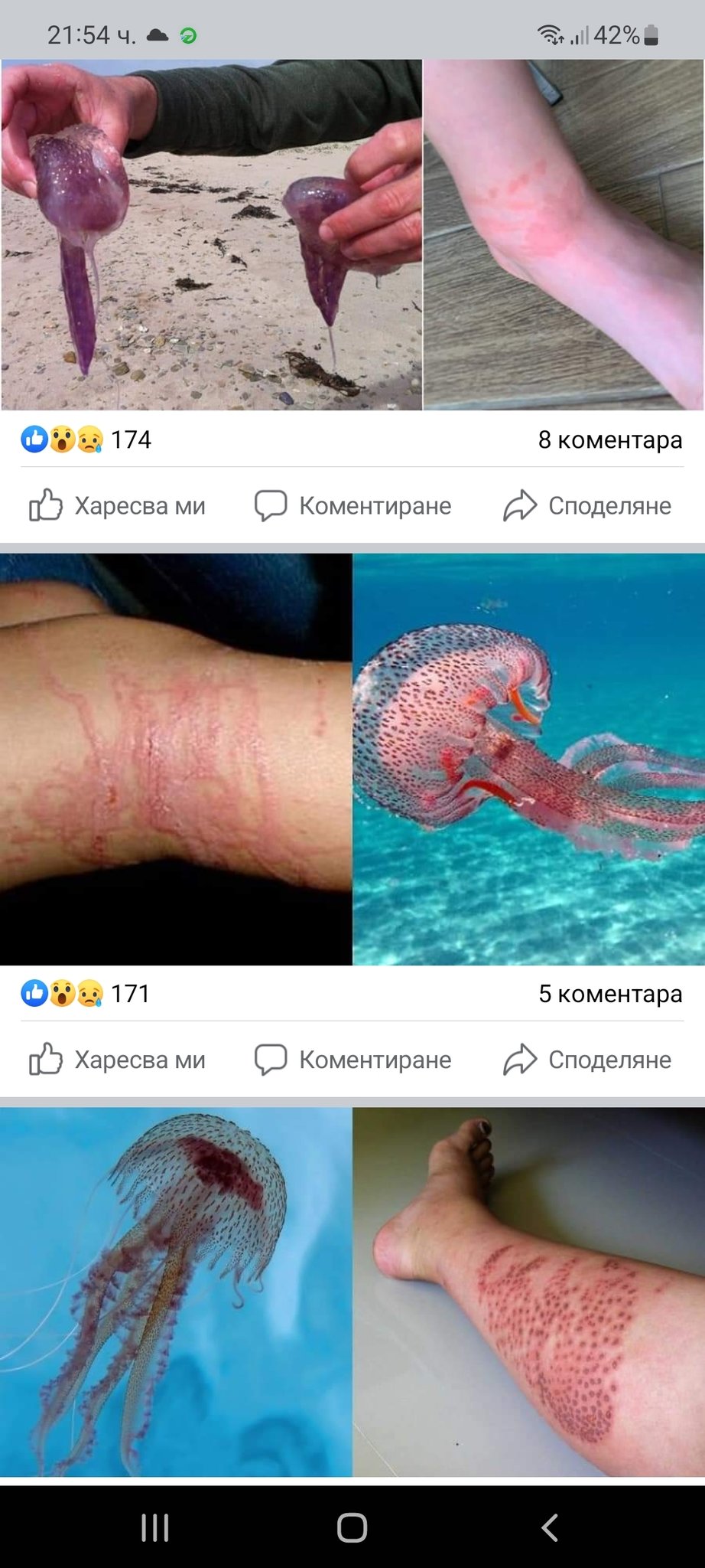Натиснете снимката за да я уголемите

Име:Screenshot_20220601-215431_Facebook.jpg
Прегледи:941
Размер:239.6 КБ
ID:6864176