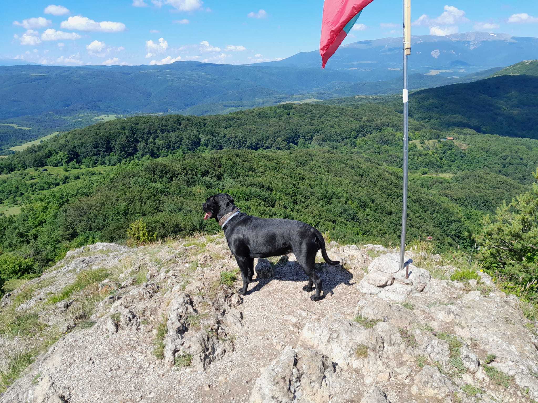 Натиснете снимката за да я уголемите

Име:WhatsApp Image 2022-06-21 at 7.02.31 PM.jpeg
Прегледи:410
Размер:447.2 КБ
ID:6870342