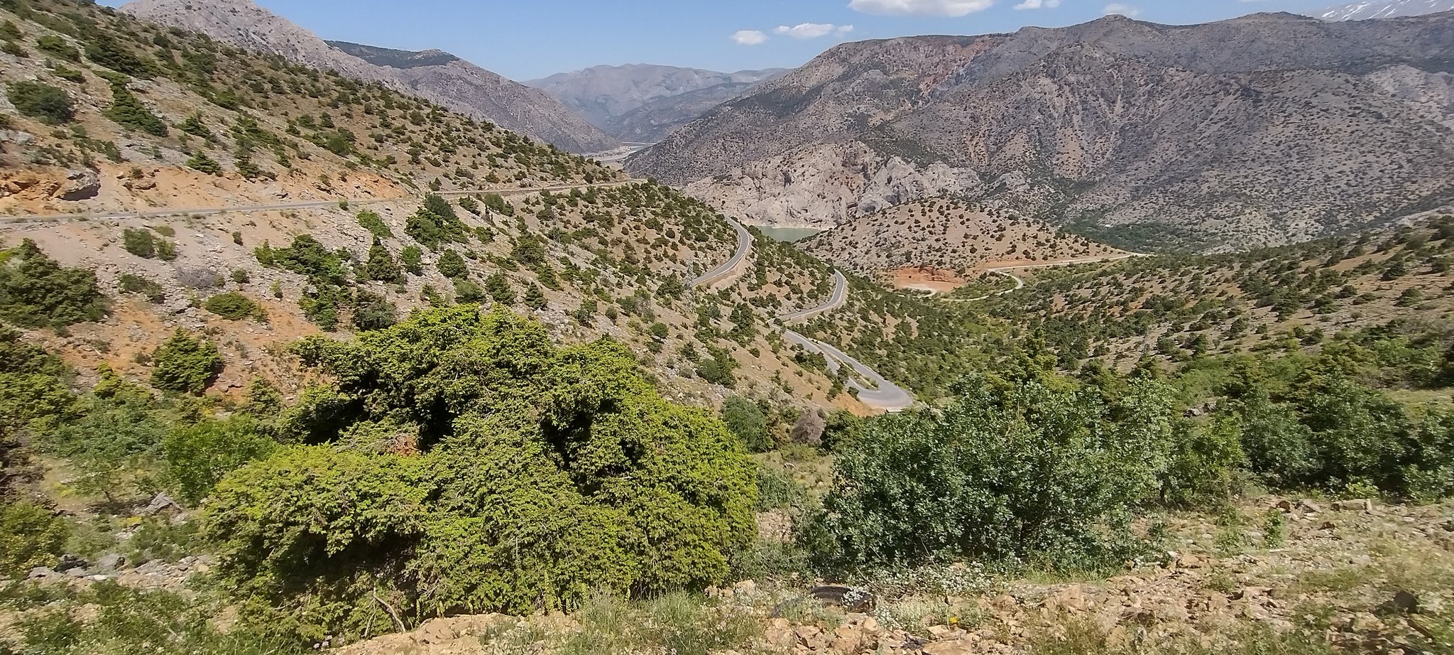 Натиснете снимката за да я уголемите

Име:IMG_20220530_105117205_HDR.jpg
Прегледи:211
Размер:810.8 КБ
ID:6871349