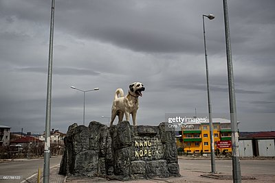 Натиснете снимката за да я уголемите

Име:gettyimages-667766122-2048x2048.jpg
Прегледи:184
Размер:287.2 КБ
ID:6872041