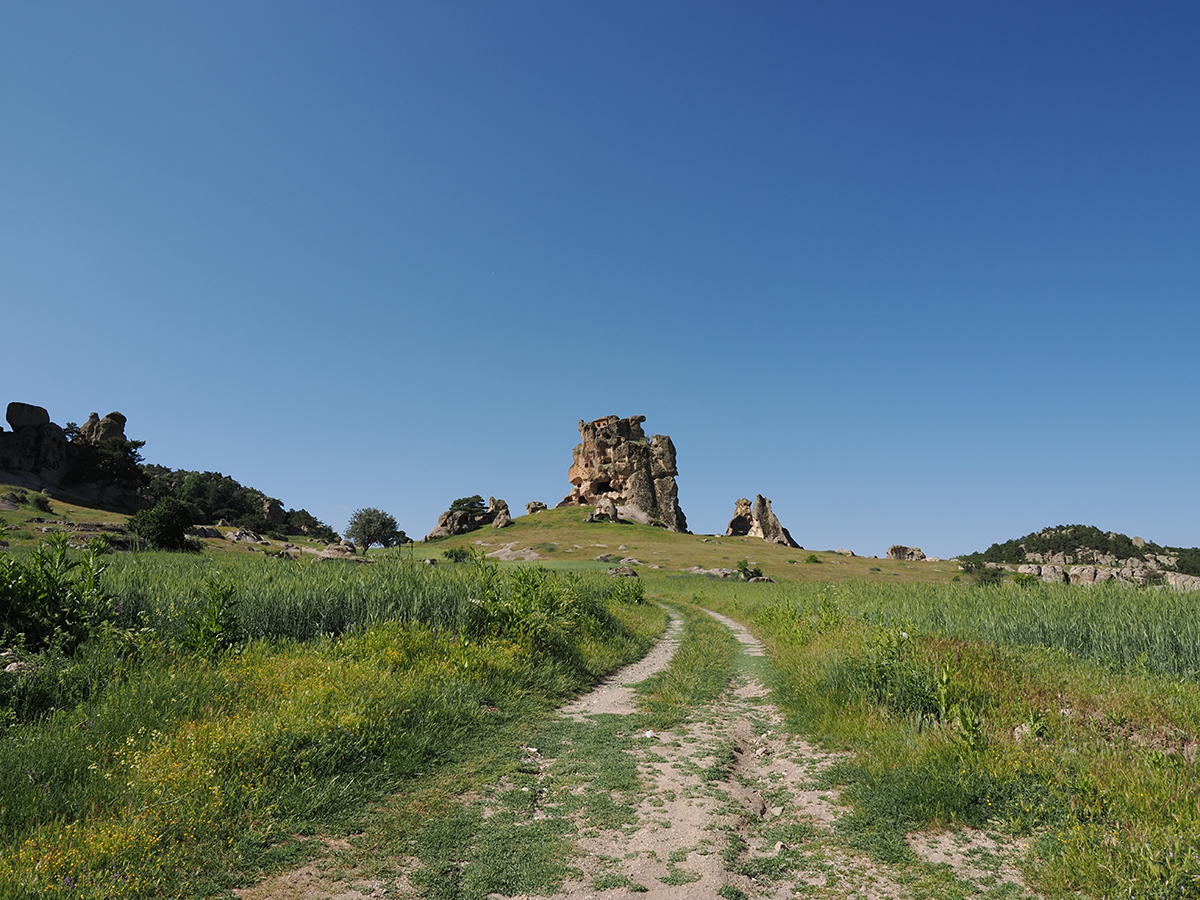 Натиснете снимката за да я уголемите  Име:P6090169.jpg Прегледи:0 Размер:928.4 КБ ID:6873178