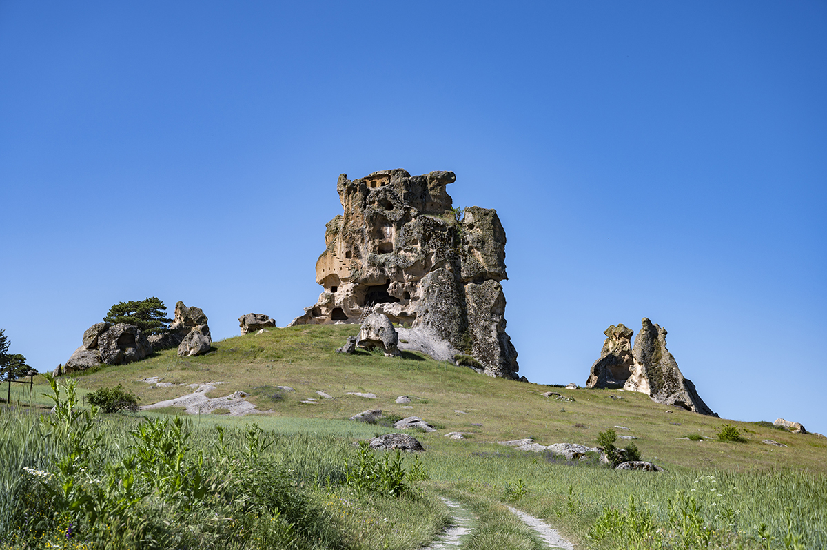 Натиснете снимката за да я уголемите  Име:DSC_2068.jpg Прегледи:0 Размер:807.2 КБ ID:6873179