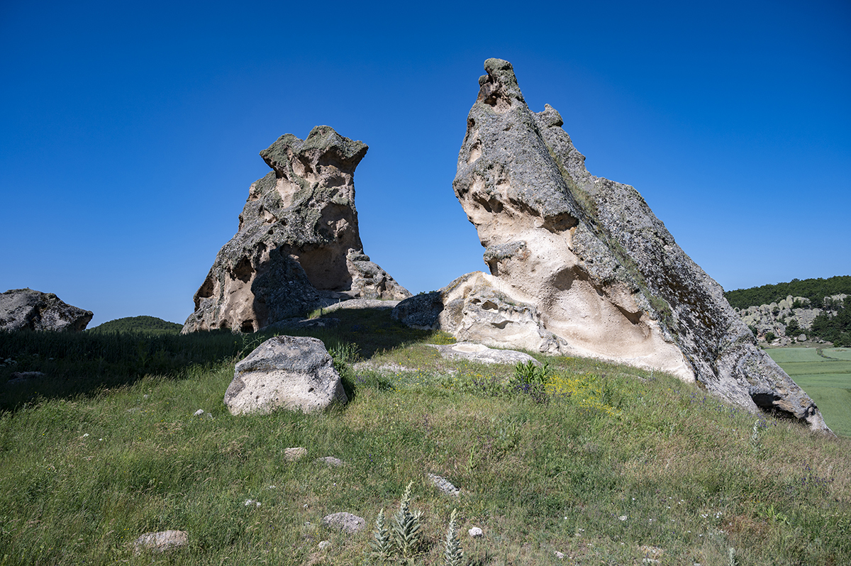 Натиснете снимката за да я уголемите  Име:DSC_2084.jpg Прегледи:0 Размер:1,013.8 КБ ID:6873182