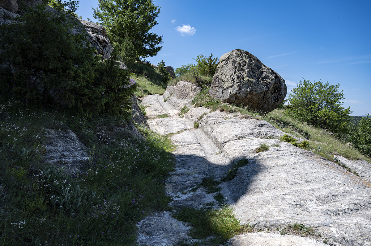 Натиснете снимката за да я уголемите  Име:DSC_2126.jpg Прегледи:0 Размер:1.10 МБ ID:6873215