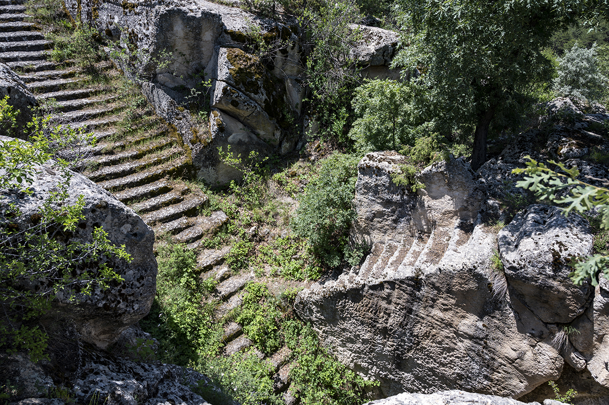 Натиснете снимката за да я уголемите  Име:DSC_2127.jpg Прегледи:0 Размер:1.47 МБ ID:6873216