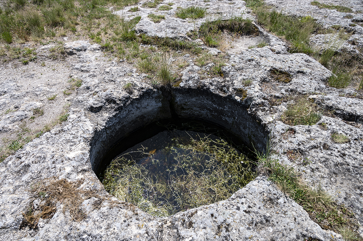 Натиснете снимката за да я уголемите  Име:DSC_2129.jpg Прегледи:0 Размер:1.47 МБ ID:6873218