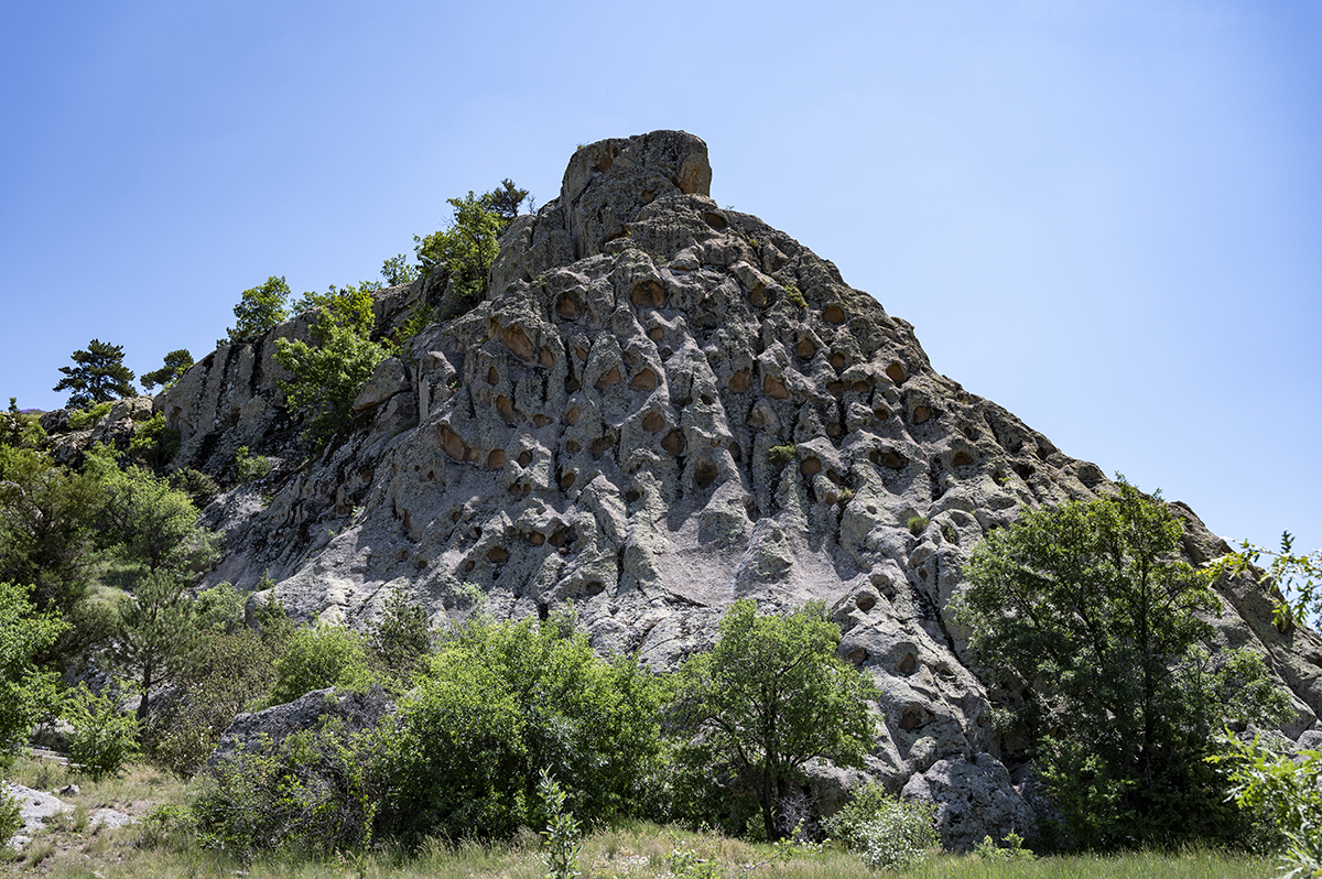 Натиснете снимката за да я уголемите  Име:DSC_2130.jpg Прегледи:0 Размер:1.06 МБ ID:6873219