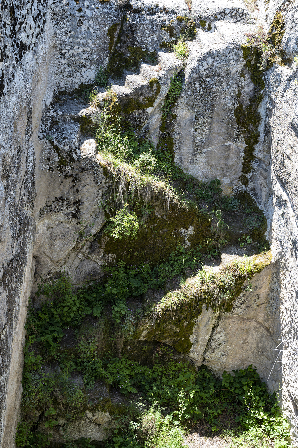 Натиснете снимката за да я уголемите  Име:DSC_2133.jpg Прегледи:0 Размер:3.10 МБ ID:6873221