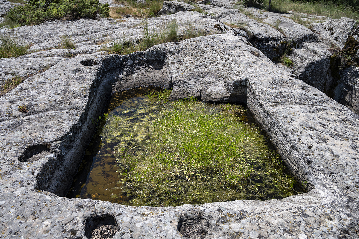 Натиснете снимката за да я уголемите  Име:DSC_2134.jpg Прегледи:0 Размер:1.42 МБ ID:6873222