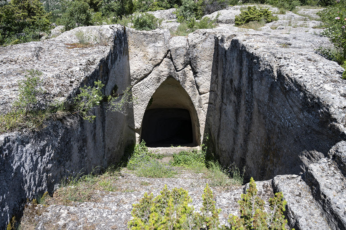 Натиснете снимката за да я уголемите  Име:DSC_2136.jpg Прегледи:0 Размер:1.38 МБ ID:6873224
