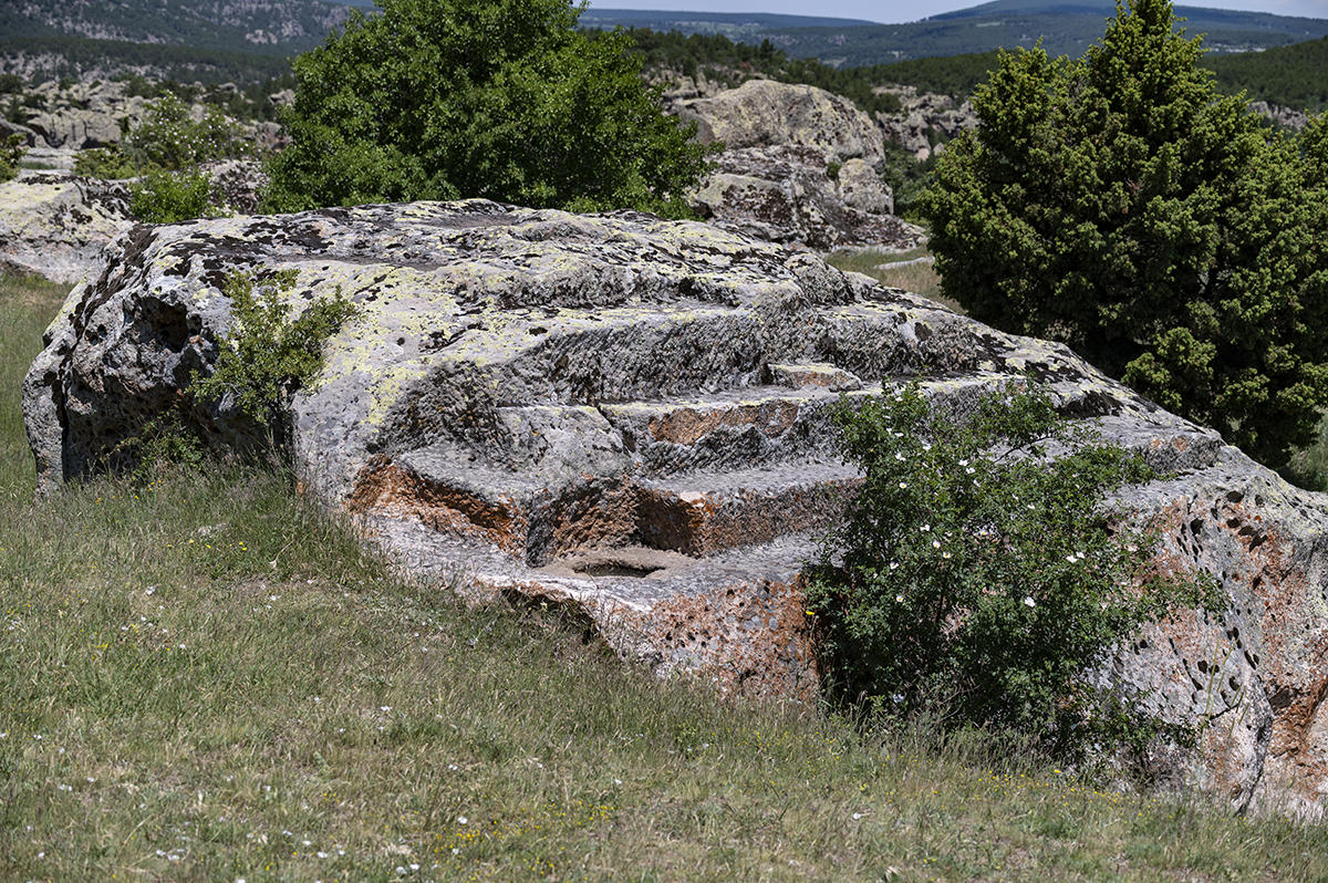 Натиснете снимката за да я уголемите  Име:DSC_2143.jpg Прегледи:0 Размер:1.40 МБ ID:6873230