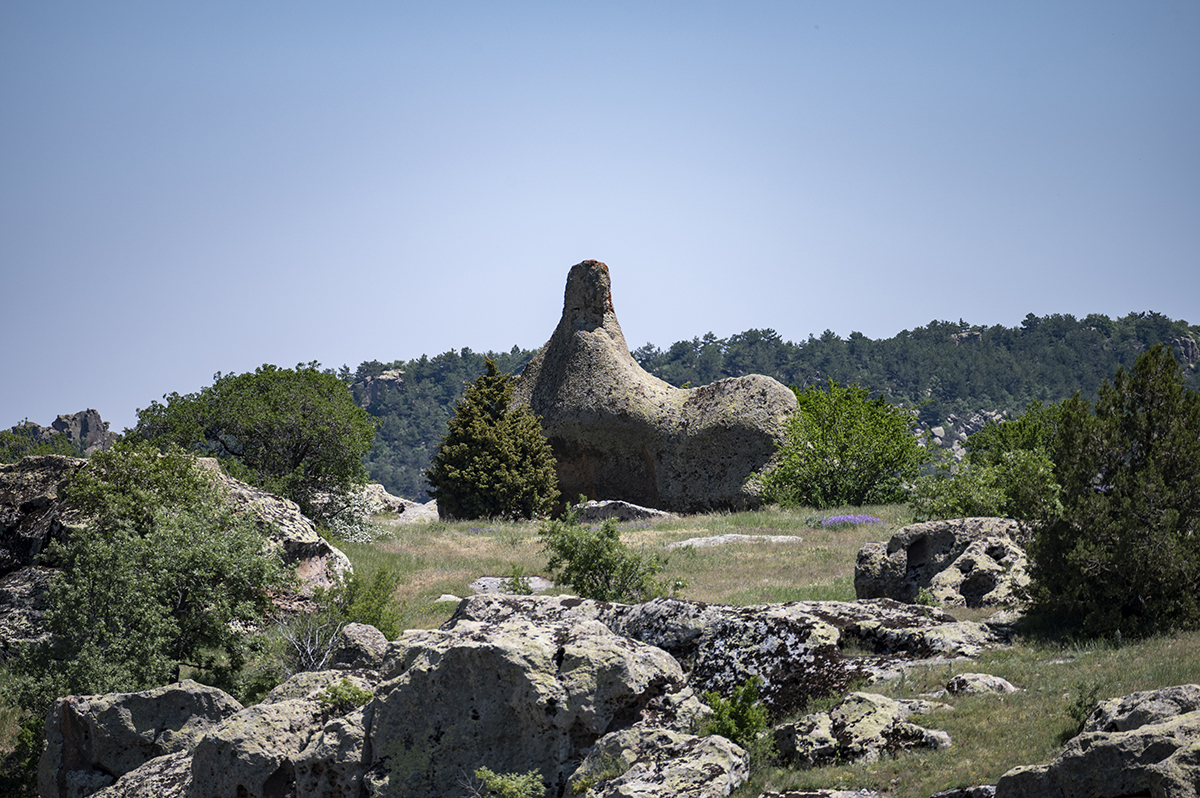 Натиснете снимката за да я уголемите  Име:DSC_2149.jpg Прегледи:0 Размер:922.1 КБ ID:6873232