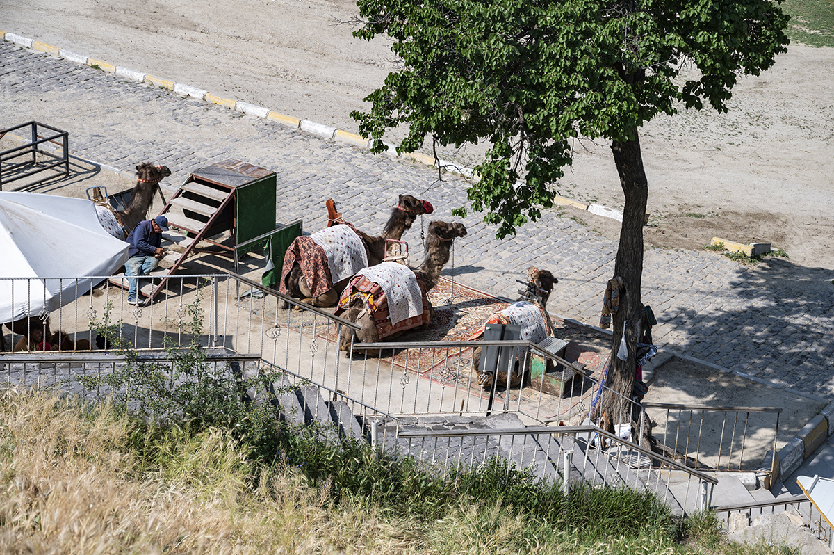 Натиснете снимката за да я уголемите  Име:DSC_2210.jpg Прегледи:0 Размер:1.29 МБ ID:6873357