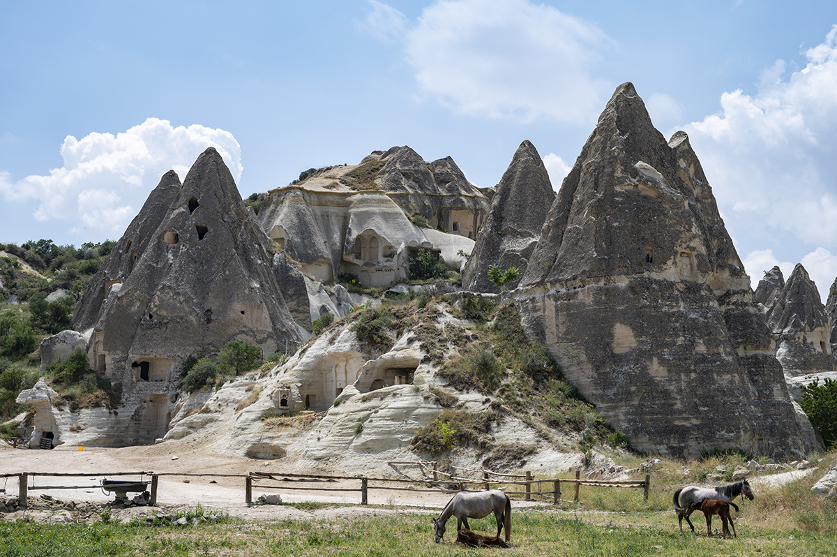 Натиснете снимката за да я уголемите

Име:DSC_2264.jpg
Прегледи:343
Размер:958.7 КБ
ID:6873378