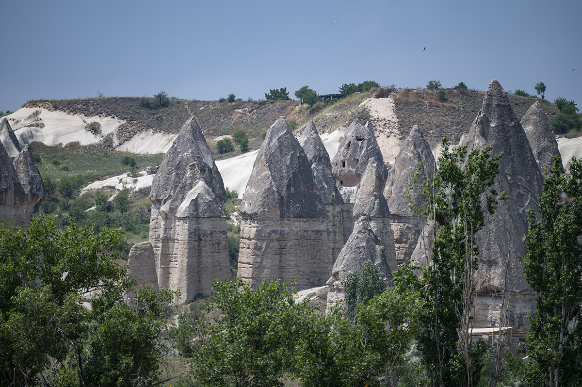 Натиснете снимката за да я уголемите

Име:DSC_2266.jpg
Прегледи:348
Размер:1.00 МБ
ID:6873379