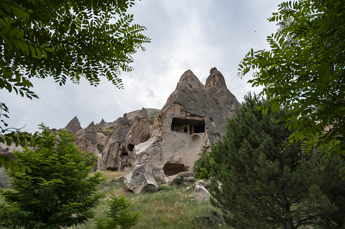 Натиснете снимката за да я уголемите  Име:DSC_2281.jpg Прегледи:0 Размер:1.06 МБ ID:6873383