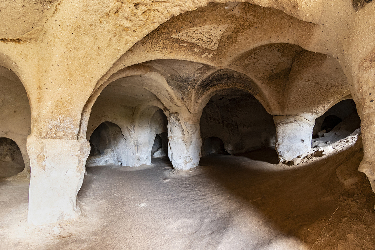 Натиснете снимката за да я уголемите  Име:DSC_2292.jpg Прегледи:0 Размер:952.2 КБ ID:6873386