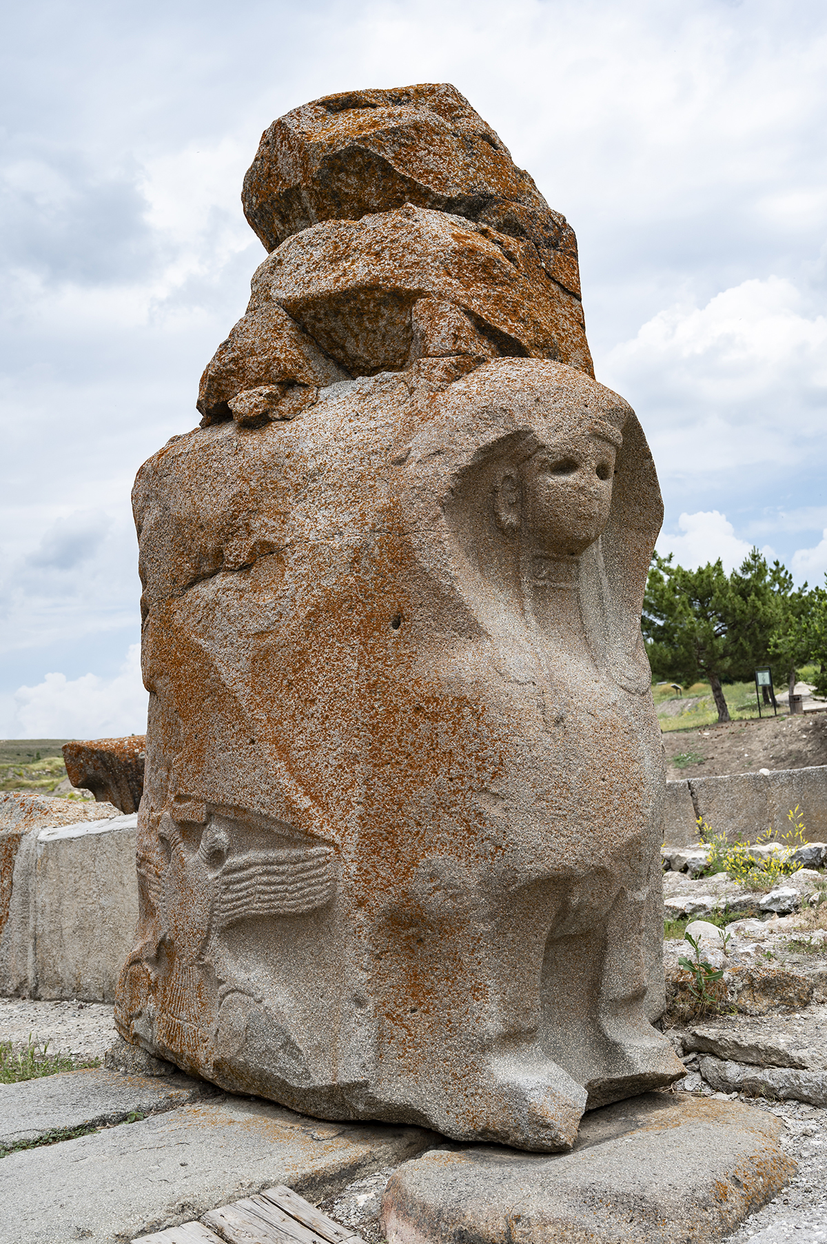 Натиснете снимката за да я уголемите  Име:DSC_2373.jpg Прегледи:0 Размер:2.54 МБ ID:6873435