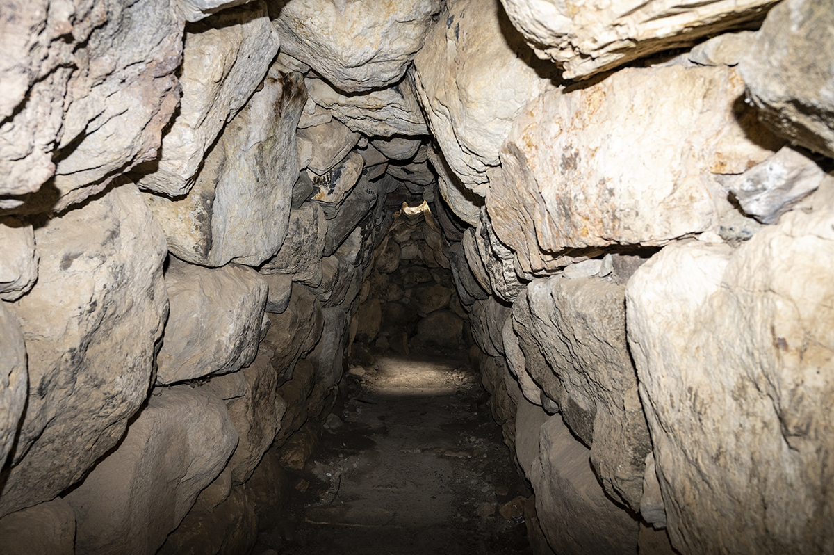 Натиснете снимката за да я уголемите  Име:DSC_2382.jpg Прегледи:0 Размер:887.6 КБ ID:6873441