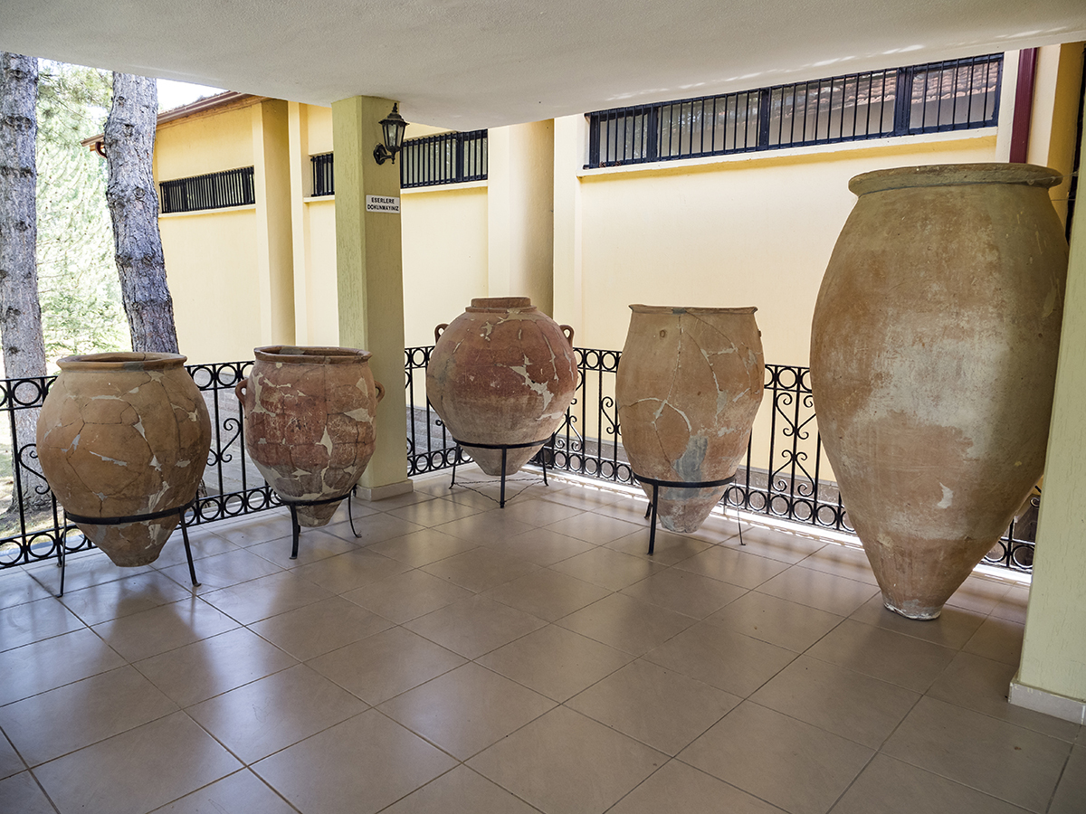 Натиснете снимката за да я уголемите  Име:P6111042.jpg Прегледи:0 Размер:834.5 КБ ID:6873449