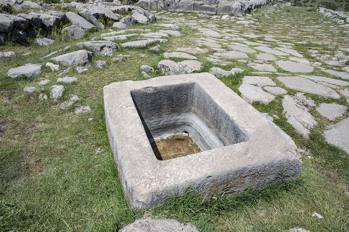 Натиснете снимката за да я уголемите  Име:DSC_2422.jpg Прегледи:0 Размер:1.41 МБ ID:6873462