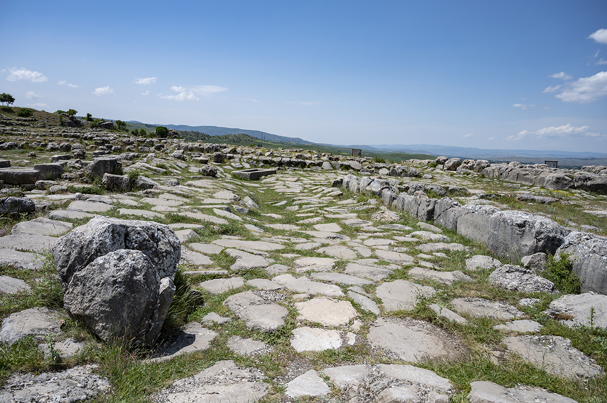 Натиснете снимката за да я уголемите  Име:DSC_2415.jpg Прегледи:0 Размер:1.03 МБ ID:6873463