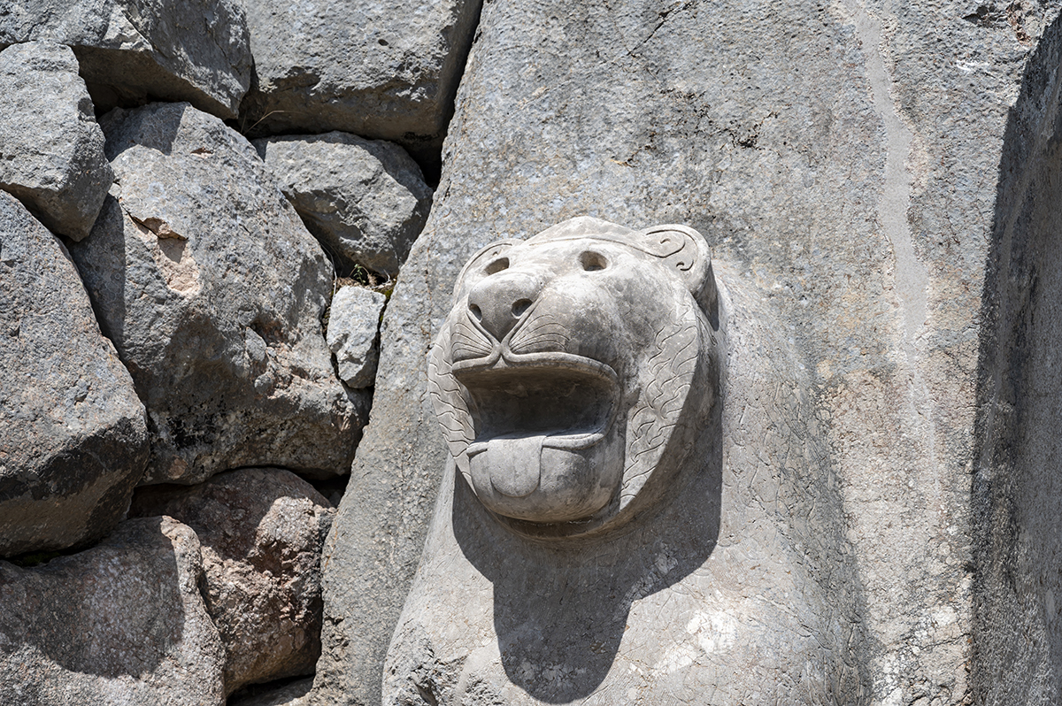 Натиснете снимката за да я уголемите  Име:DSC_2440.jpg Прегледи:0 Размер:1.12 МБ ID:6873473