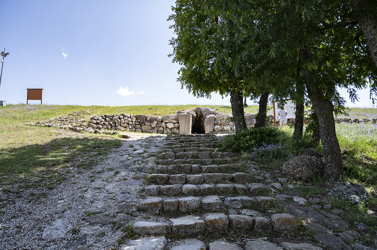 Натиснете снимката за да я уголемите  Име:DSC_2444.jpg Прегледи:0 Размер:1.16 МБ ID:6873475