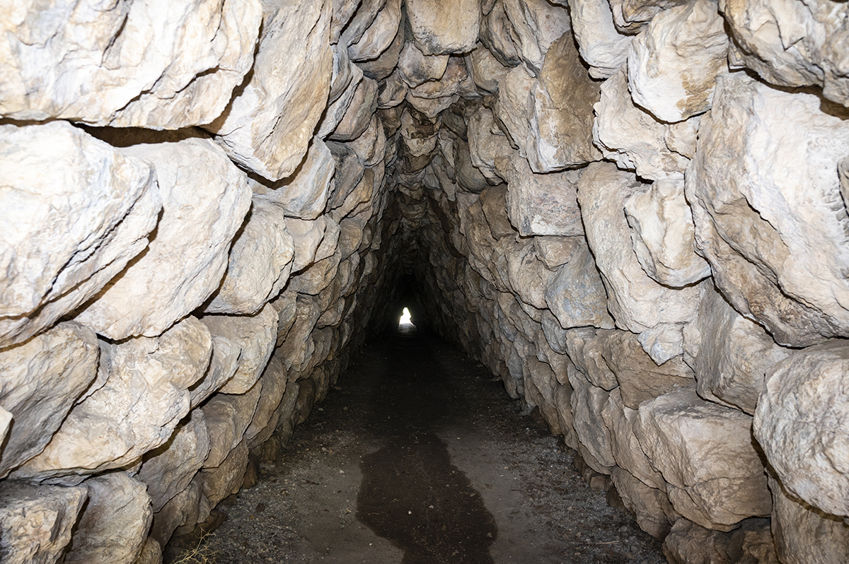 Натиснете снимката за да я уголемите  Име:DSC_2446.jpg Прегледи:0 Размер:954.3 КБ ID:6873476