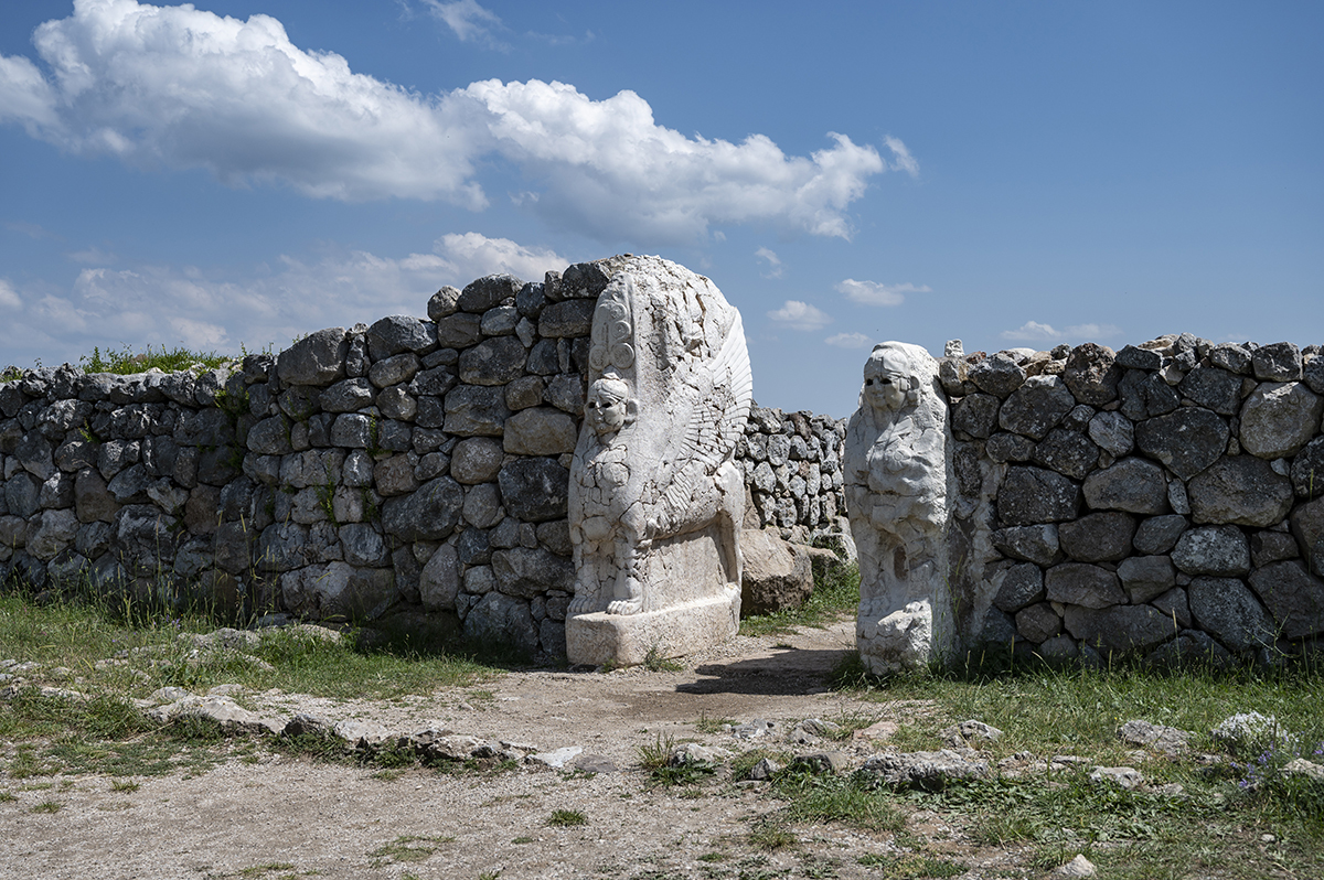 Натиснете снимката за да я уголемите  Име:DSC_2462.jpg Прегледи:0 Размер:947.5 КБ ID:6873479