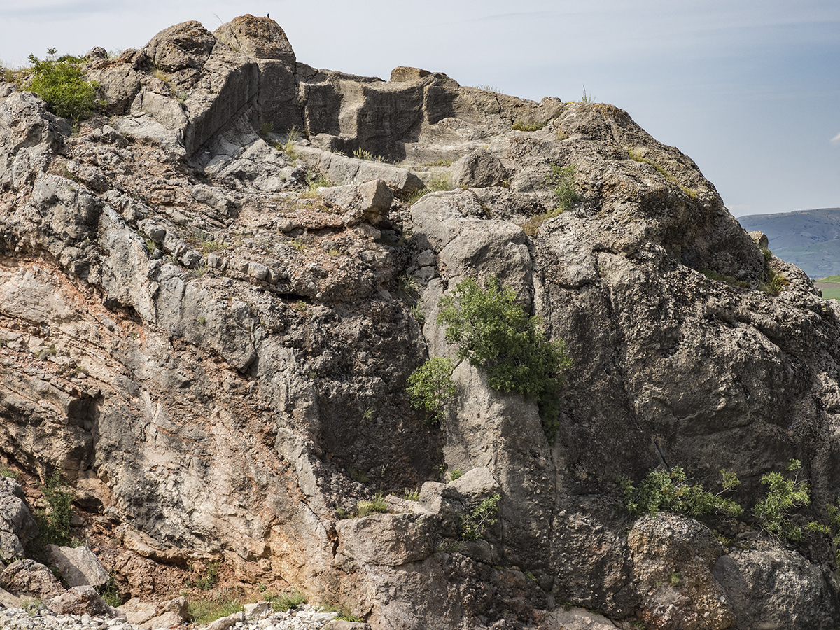 Натиснете снимката за да я уголемите

Име:P6111130.jpg
Прегледи:344
Размер:1.31 МБ
ID:6873490