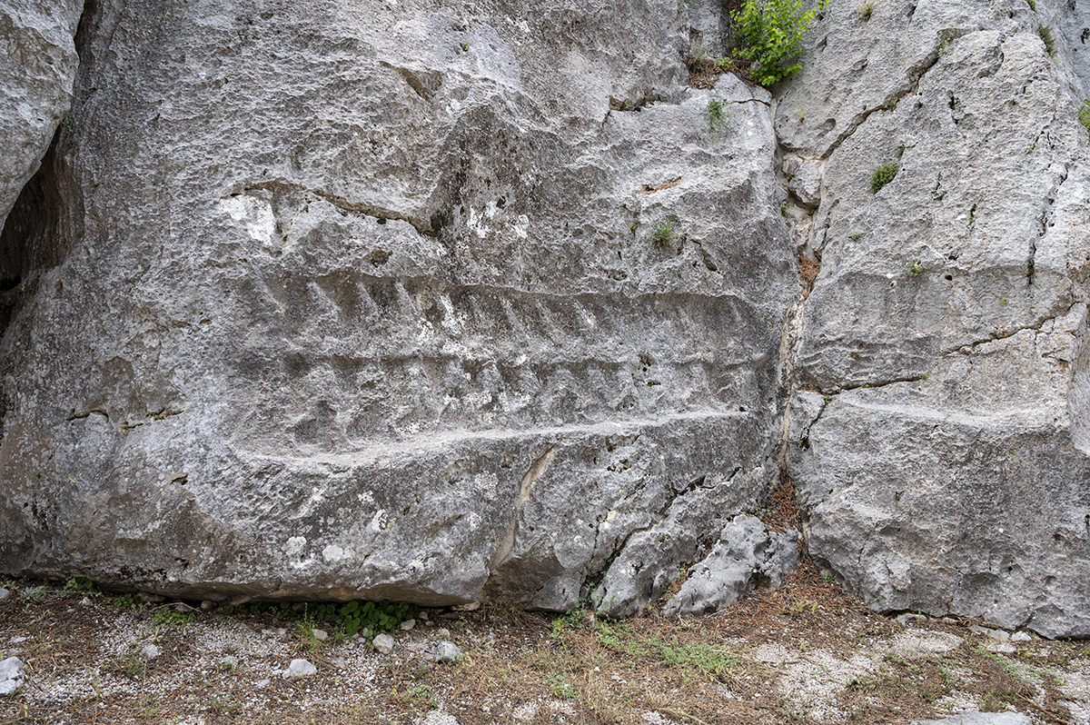 Натиснете снимката за да я уголемите

Име:DSC_2494.jpg
Прегледи:332
Размер:1.32 МБ
ID:6873507