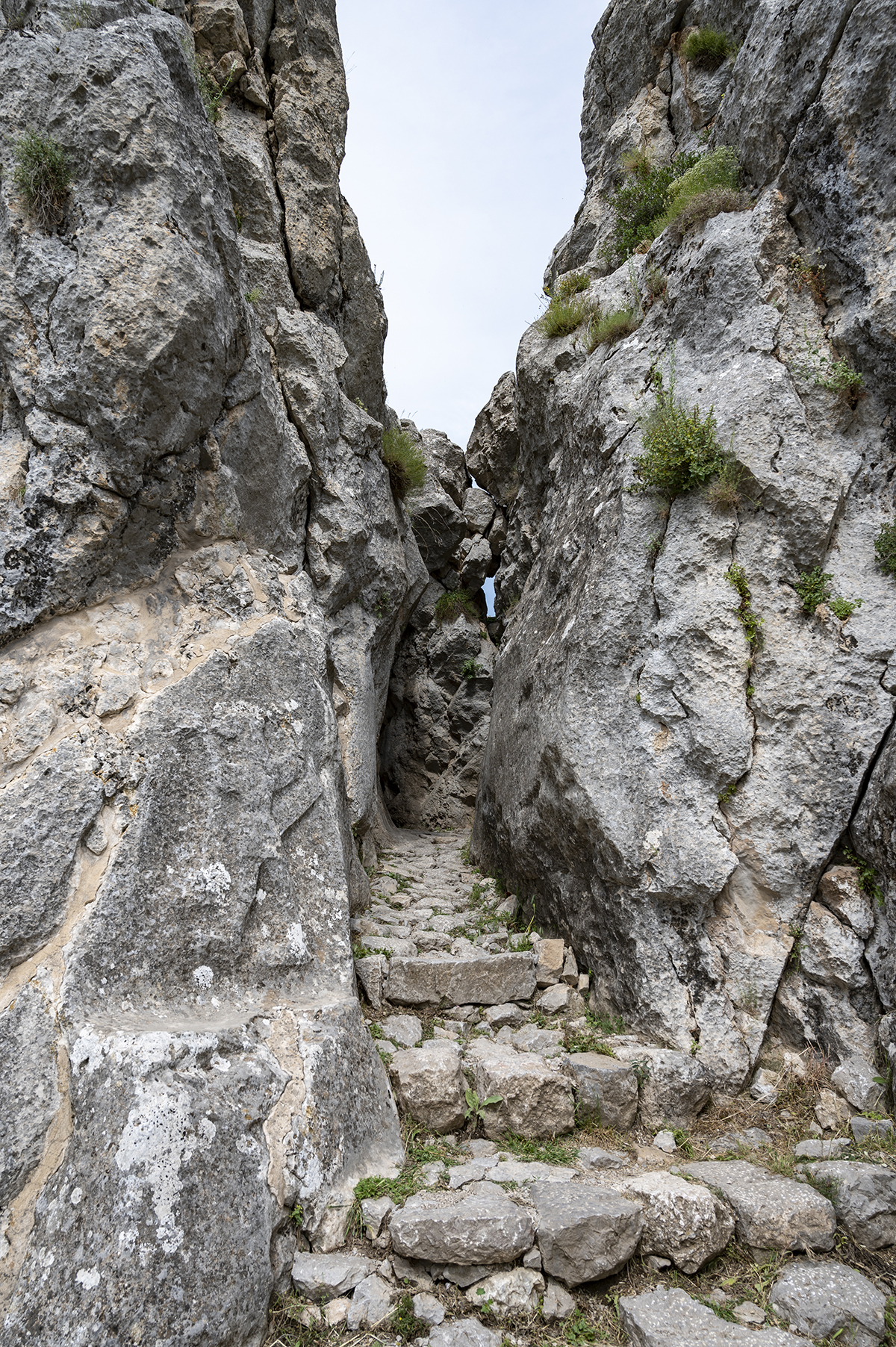 Натиснете снимката за да я уголемите

Име:DSC_2500.jpg
Прегледи:347
Размер:2.46 МБ
ID:6873511