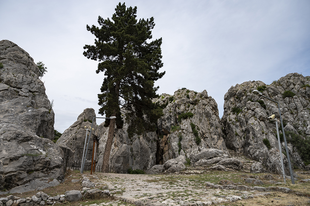 Натиснете снимката за да я уголемите

Име:DSC_2510.jpg
Прегледи:315
Размер:930.1 КБ
ID:6873518