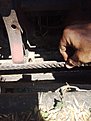 Натиснете снимката за да я уголемите

Име:IMG_20220716_124116_652.jpg
Прегледи:745
Размер:319.9 КБ
ID:6877578
