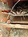 Натиснете снимката за да я уголемите

Име:IMG_20220720_155153_390.jpg
Прегледи:650
Размер:658.4 КБ
ID:6878687