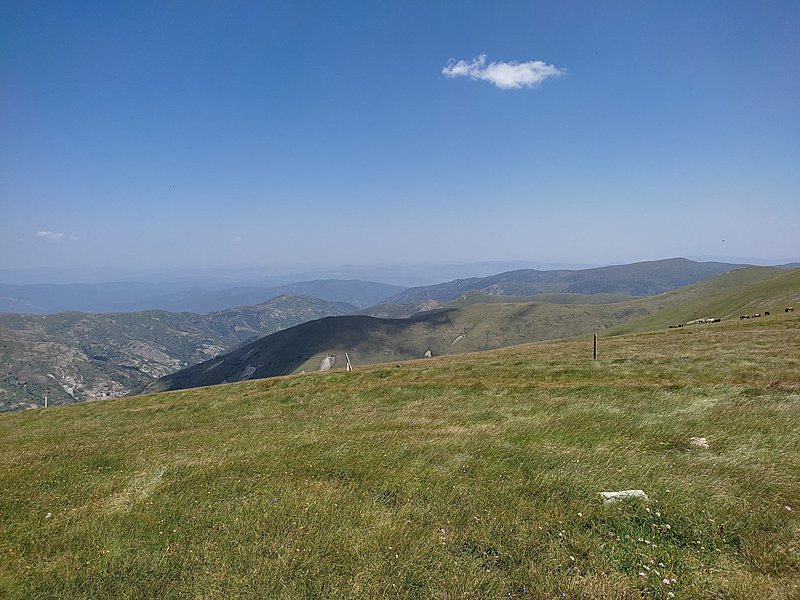 Натиснете снимката за да я уголемите  Име:IMG_20220723_122354.jpg Прегледи:0 Размер:718.3 КБ ID:6879812