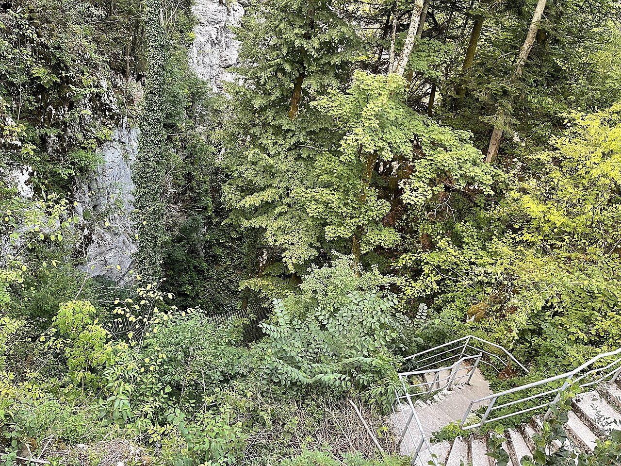 Натиснете снимката за да я уголемите  Име:FA0FDA8E-DC62-4629-9D29-012FD3D52A39.jpeg Прегледи:8 Размер:1.55 МБ ID:6883100