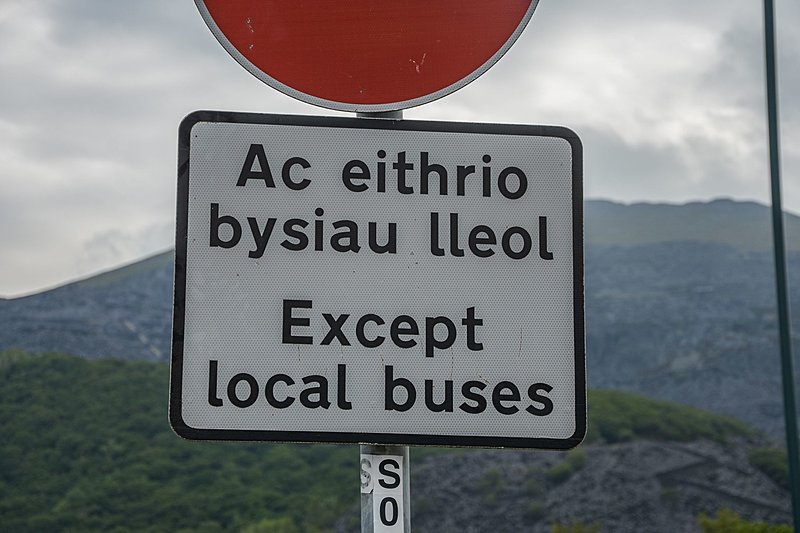 Натиснете снимката за да я уголемите

Име:DSC_0880.jpg
Прегледи:445
Размер:350.0 КБ
ID:6883655