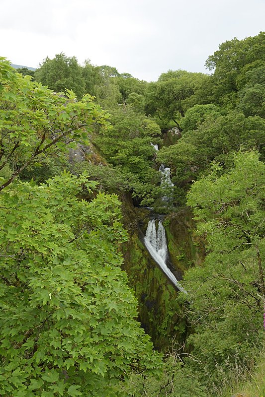 Натиснете снимката за да я уголемите

Име:DSC_0886.jpg
Прегледи:443
Размер:612.1 КБ
ID:6883657