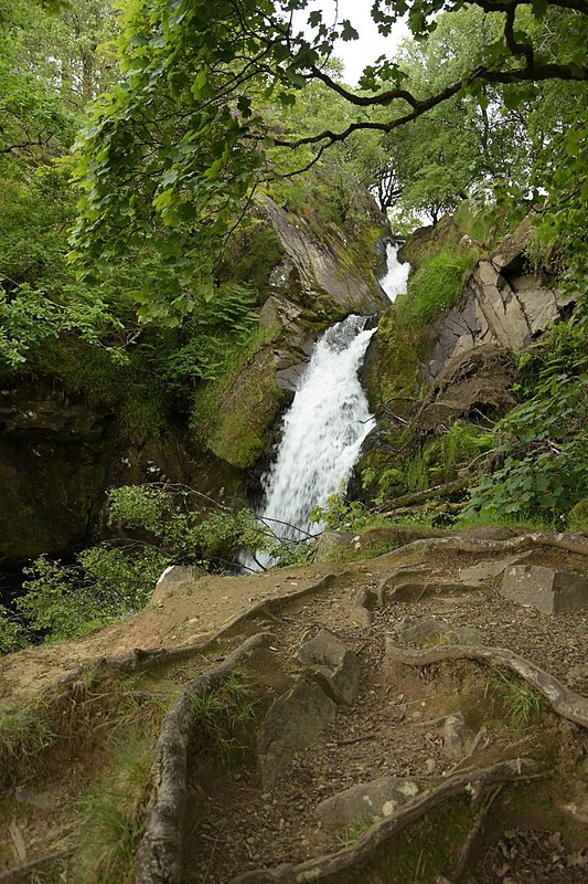 Натиснете снимката за да я уголемите

Име:DSC_0885.jpg
Прегледи:449
Размер:693.6 КБ
ID:6883658