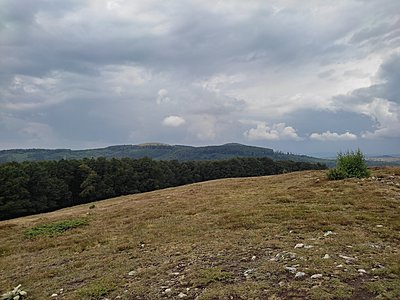 Натиснете снимката за да я уголемите  Име:IMG_20220813_122825.jpg Прегледи:0 Размер:613.1 КБ ID:6885599