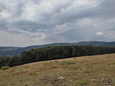 Натиснете снимката за да я уголемите  Име:IMG_20220813_122827.jpg Прегледи:0 Размер:539.0 КБ ID:6885601